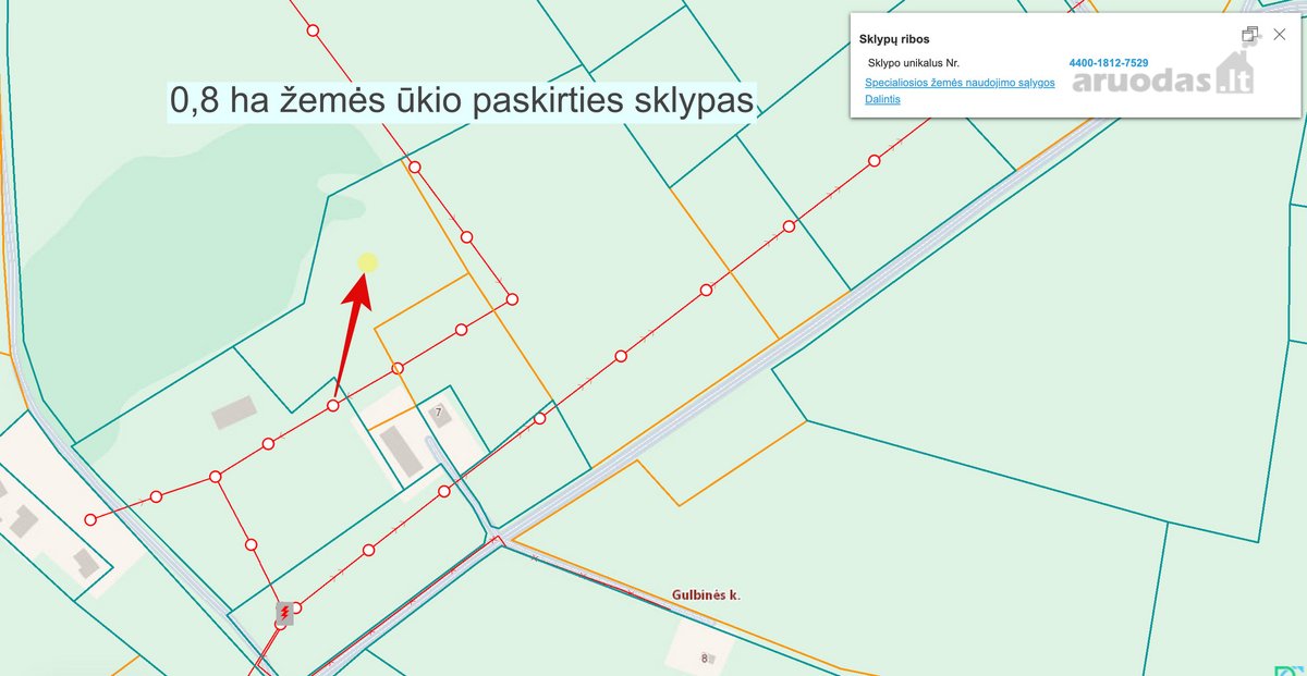 Parduodamas žemės ūkio paskirties sklypas - nuotraukos Nr. 5