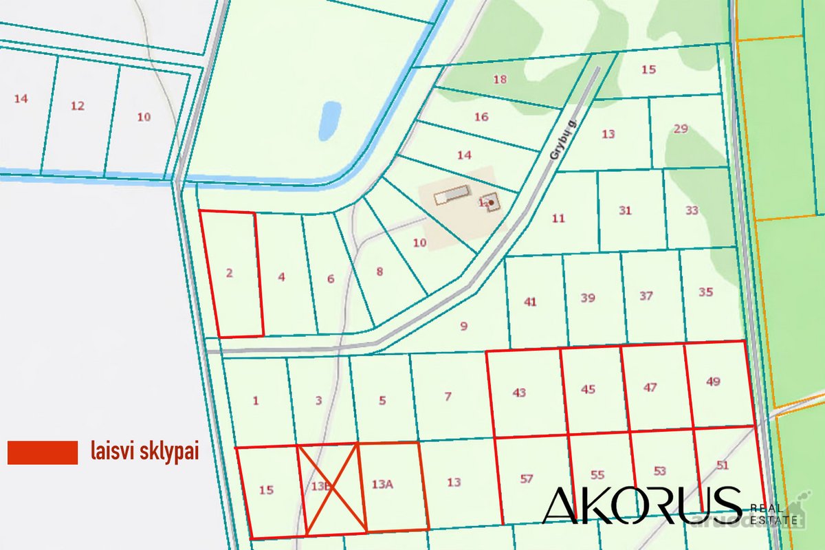 Verta Žinoti - nuotraukos Nr. 5
