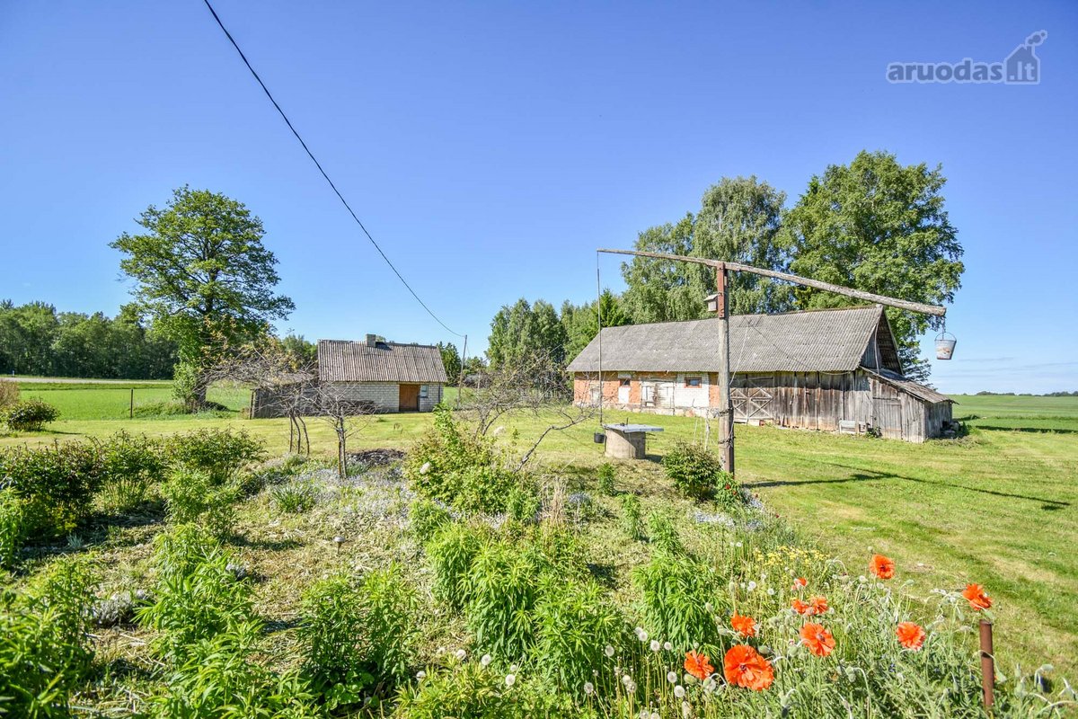 8,55 ha žemės sklypas su sodyba - nuotraukos Nr. 7