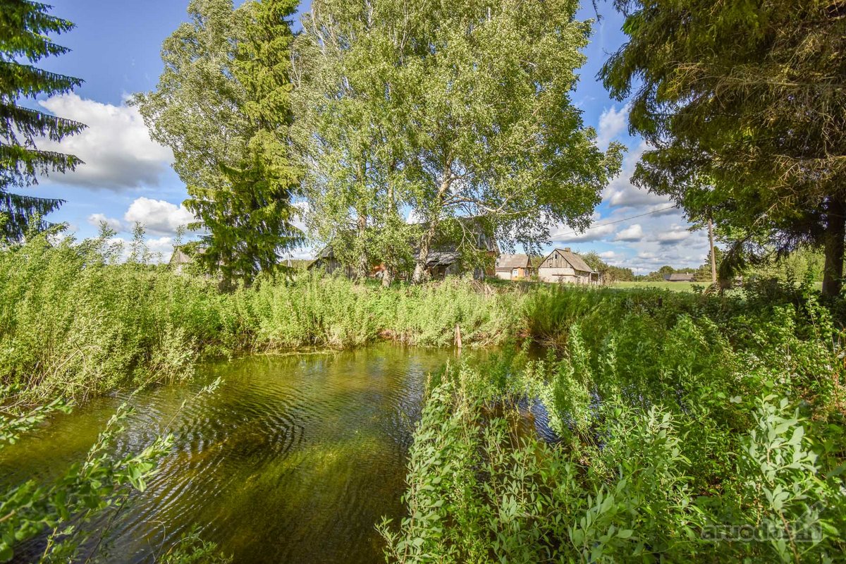 8,55 ha žemės sklypas su sodyba - nuotraukos Nr. 17