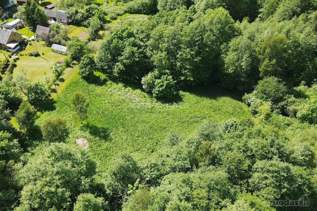 Graži 2500/20000 dalis žemės sklypo šalia - nuotraukos Nr. 3