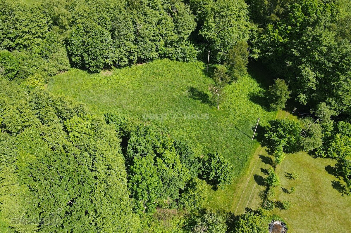 Graži 2500/20000 dalis žemės sklypo šalia - nuotraukos Nr. 7