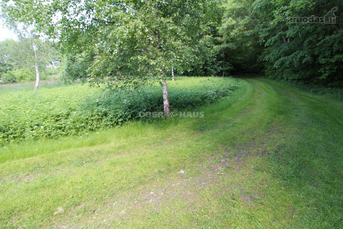 Graži 2500/20000 dalis žemės sklypo šalia - nuotraukos Nr. 23