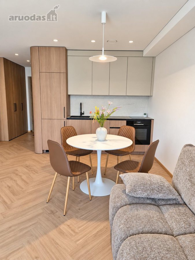 Išnuomojamas naujai, kokybiškai ir moderniai - nuotraukos Nr. 13