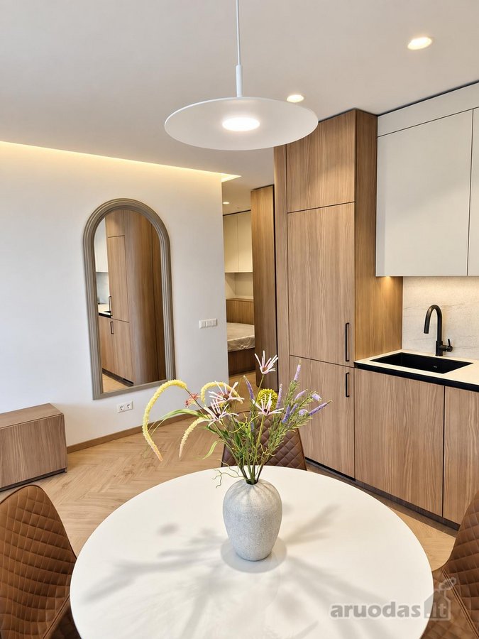 Išnuomojamas naujai, kokybiškai ir moderniai - nuotraukos Nr. 15