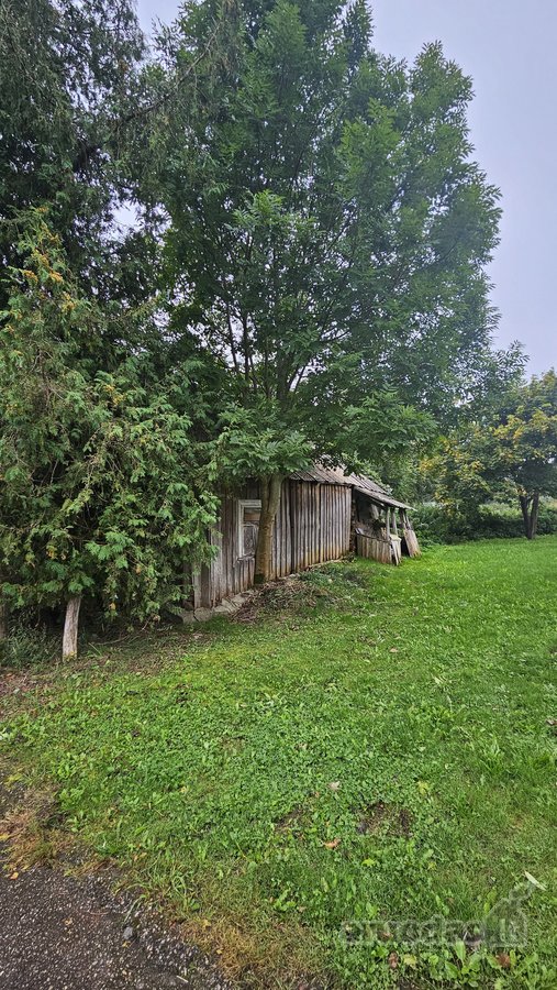 Svajojate apie ramybės oazę ranka - nuotraukos Nr. 3