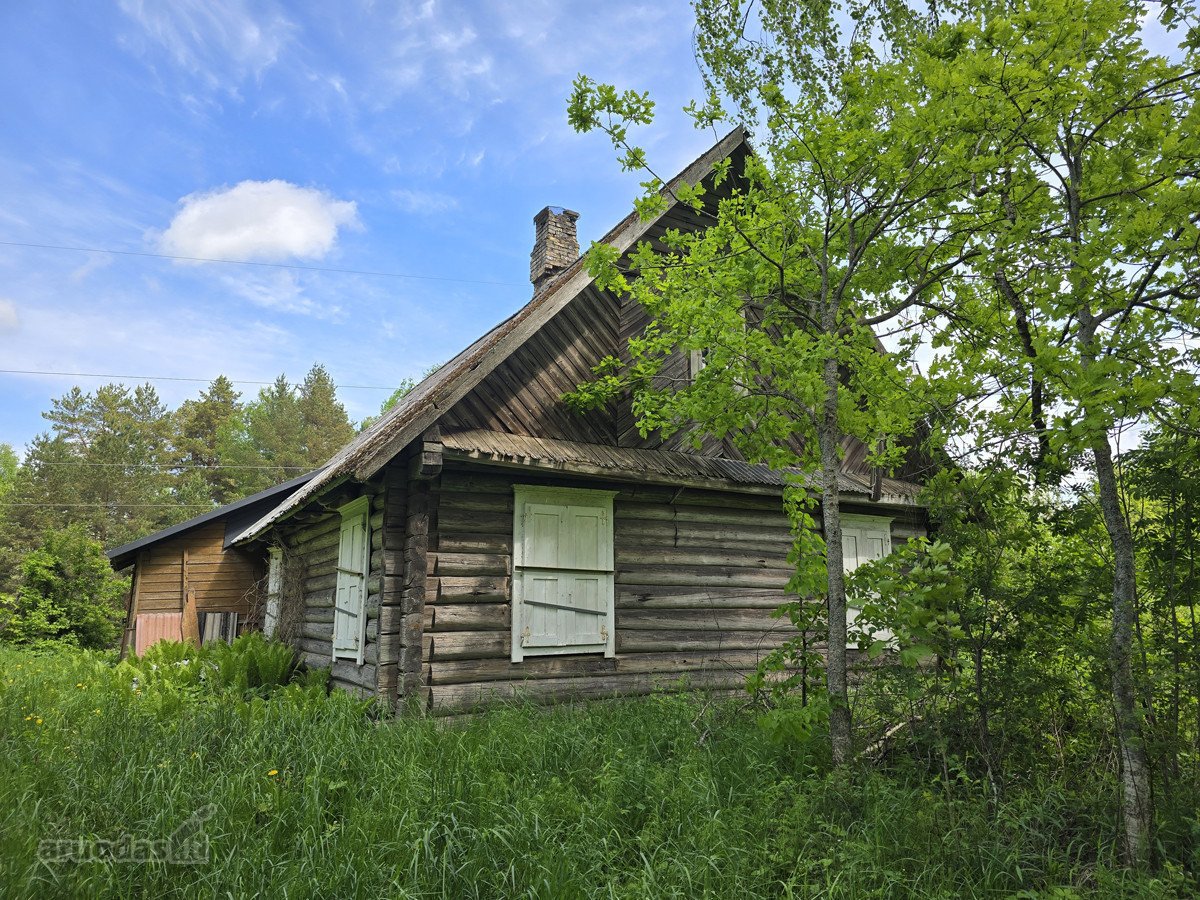 Ant gražios kalvos, miškų apsuptyje, - nuotraukos Nr. 5