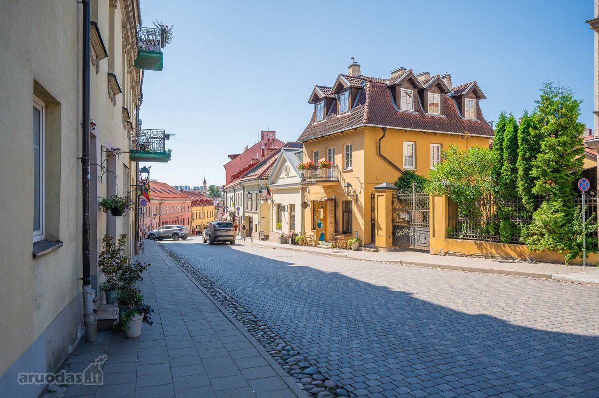 Senajame Užupyje parduodamas ne tik savo - nuotraukos Nr. 15
