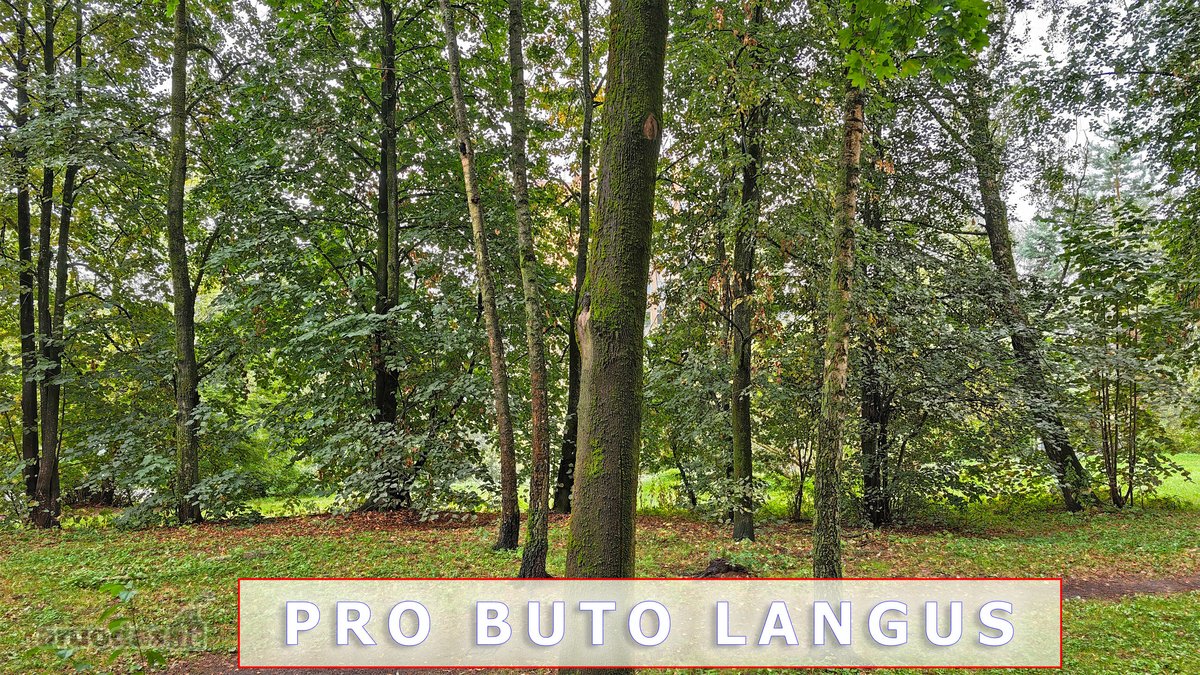 Žirmūnuose pard. tvarkingas 2kb su balkonu į - nuotraukos Nr. 11