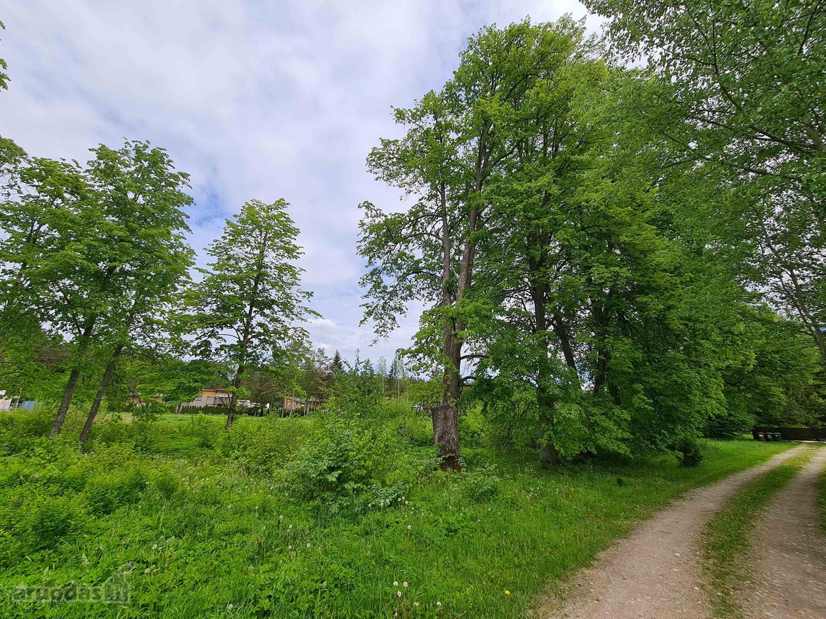 Du gretimi sklypai (12,2 ir 15,5 a) uždarame - nuotraukos Nr. 8