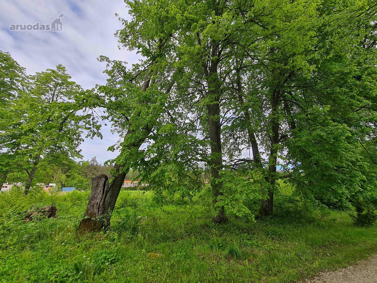 Du gretimi sklypai (12,2 ir 15,5 a) uždarame - nuotraukos Nr. 9