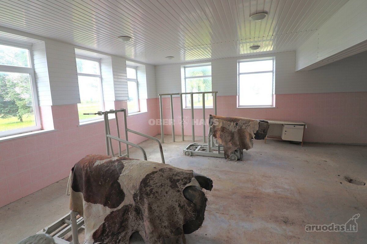 Arduodamai Pastatai Su 3,7545 Ha Sklypu Ir - nuotraukos Nr. 12
