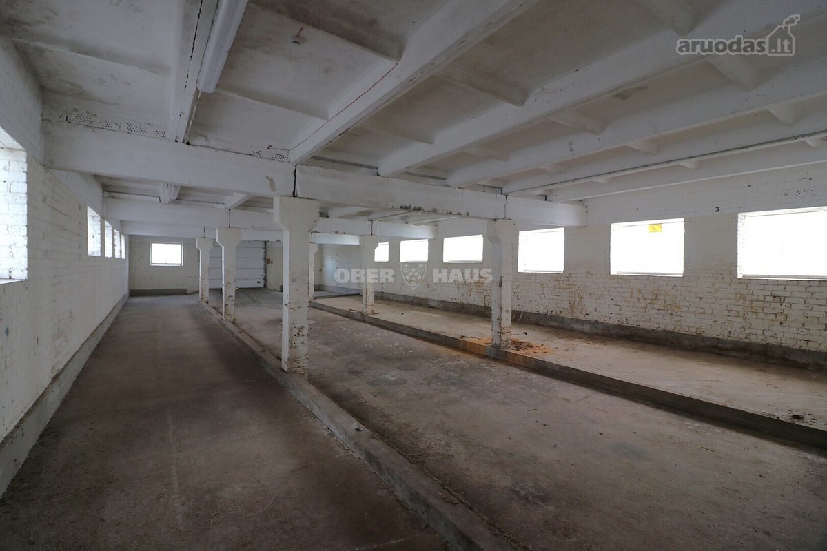 Arduodamai Pastatai Su 3,7545 Ha Sklypu Ir - nuotraukos Nr. 17