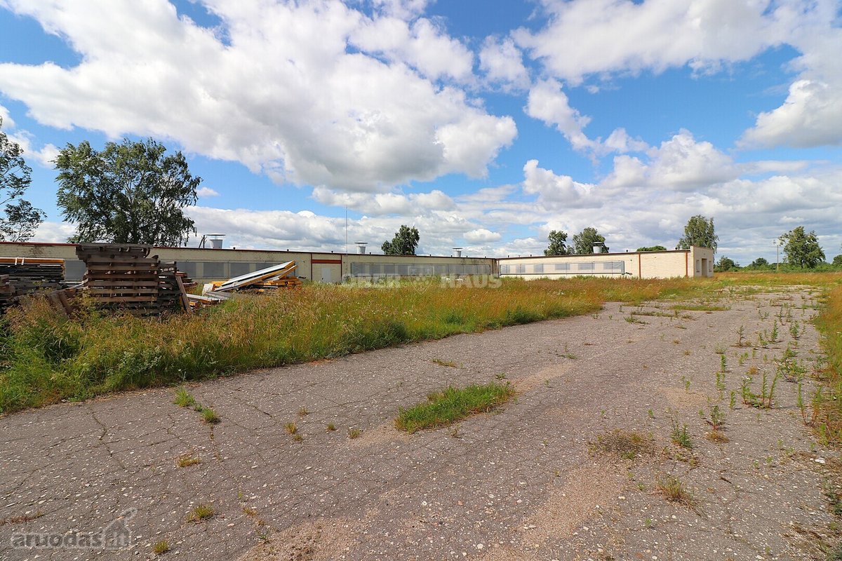 Arduodamai Pastatai Su 3,7545 Ha Sklypu Ir - nuotraukos Nr. 21