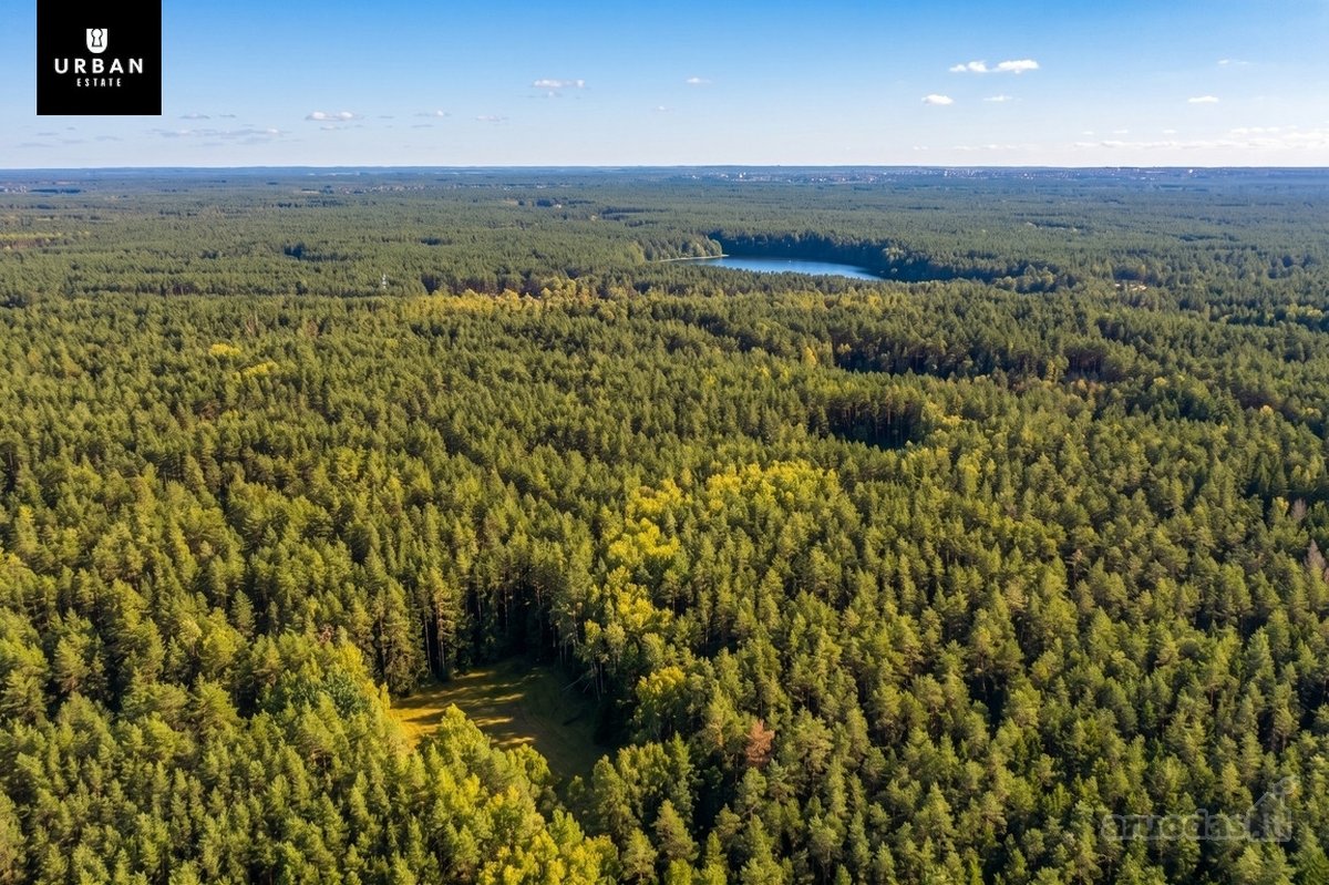 Parduodamas Išskirtinis Namų Valdos Sklypas - nuotraukos Nr. 7