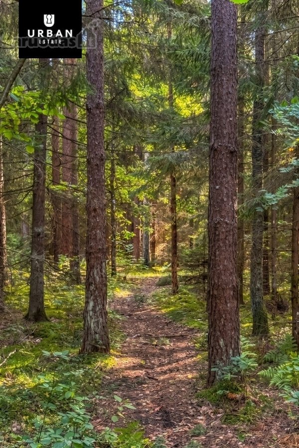 Parduodamas Išskirtinis Namų Valdos Sklypas - nuotraukos Nr. 11