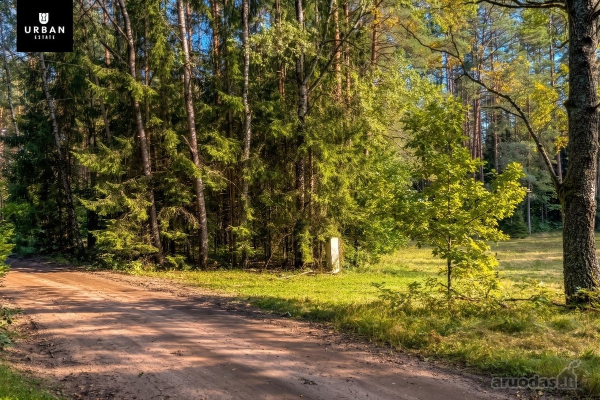 Parduodamas Išskirtinis Namų Valdos Sklypas - nuotraukos Nr. 12
