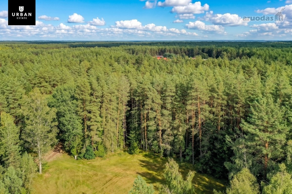 Parduodamas Išskirtinis Namų Valdos Sklypas - nuotraukos Nr. 5