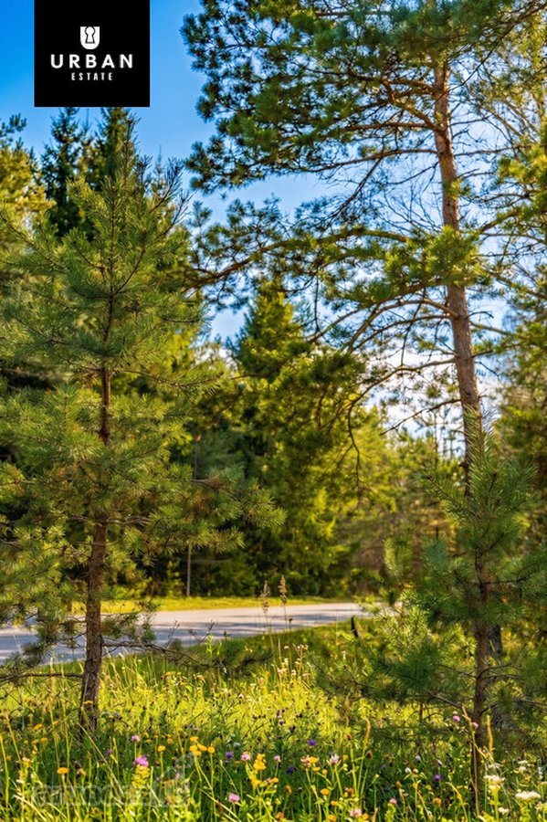 Parduodamas Išskirtinis Namų Valdos Sklypas - nuotraukos Nr. 16