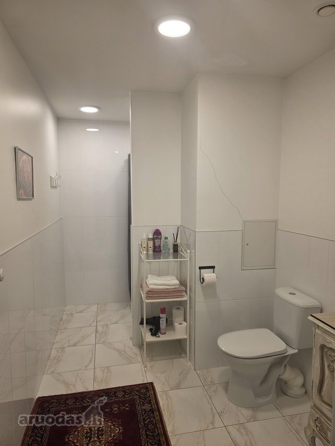 Išnuomojamas jaukus, erdvus, šviesus 1 - nuotraukos Nr. 8