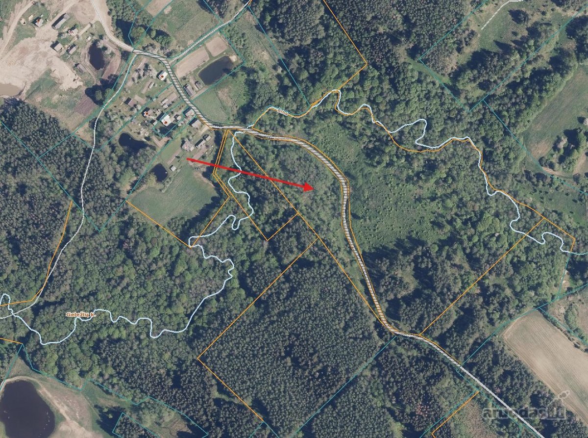 Vilniaus r. sav., Geležių Antakalnių k. - nuotraukos Nr. 8
