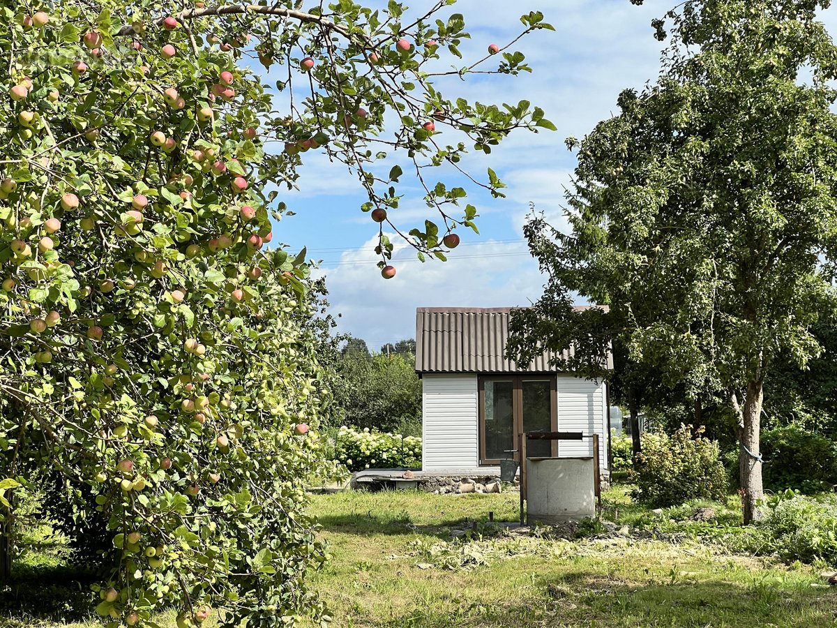 Sodo sklypas su nameliu Panevėžio rajone, - nuotraukos Nr. 6