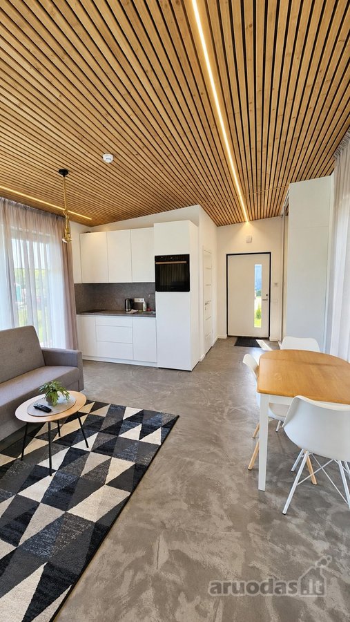 Ilgalaikei Nuomai – 41 M² Namukas Su Terasa - nuotraukos Nr. 5