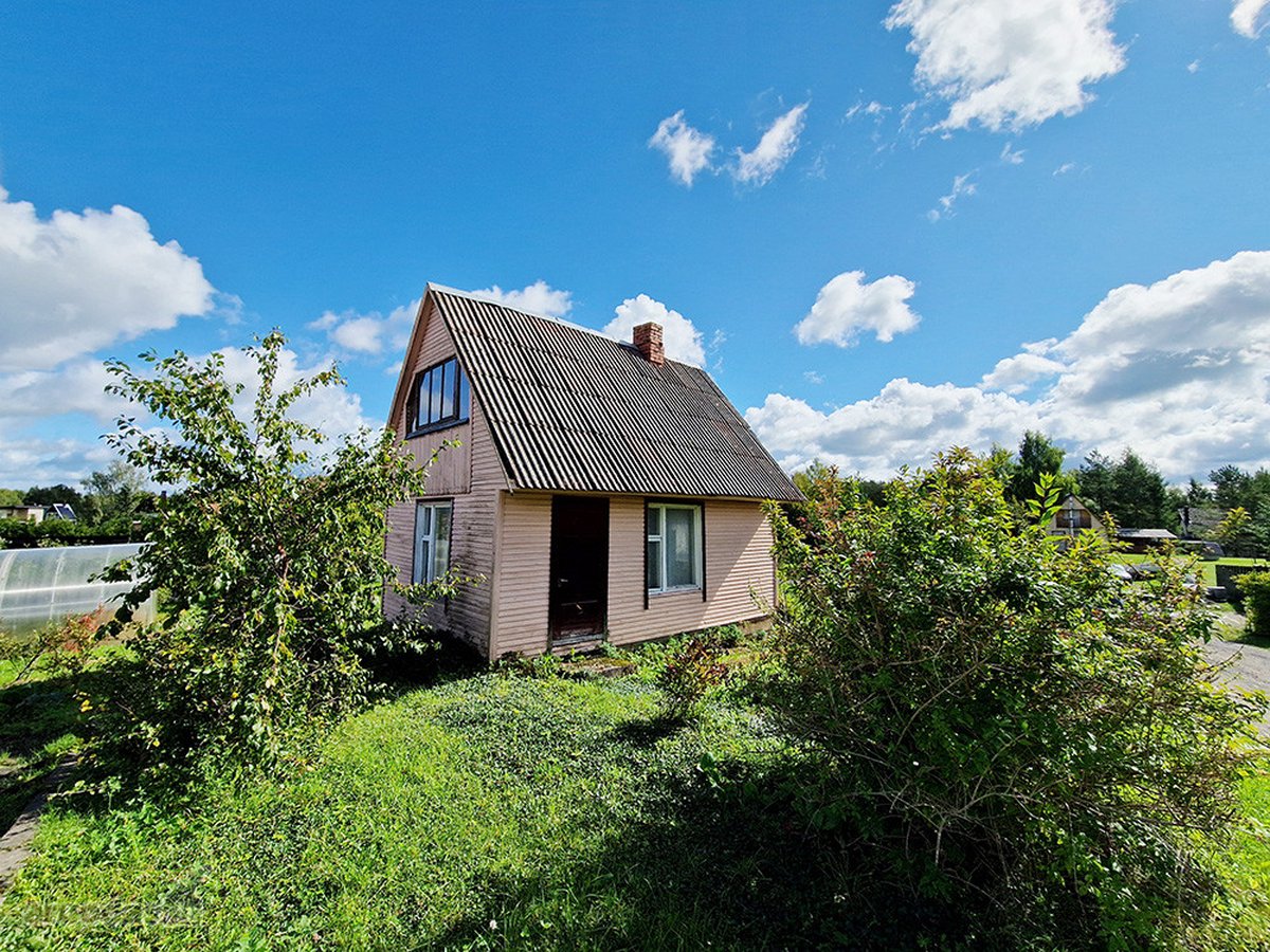 Vienoje Iš Uteniškių Labiausiai Mėgstamų Ir - nuotraukos Nr. 3
