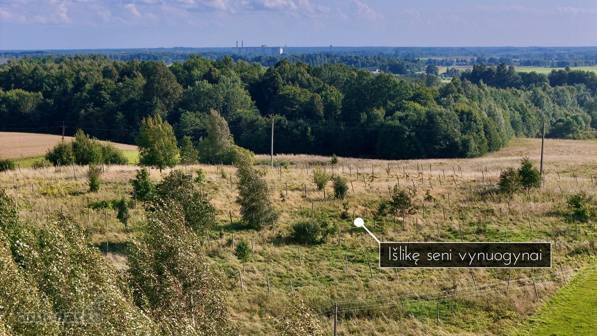 Ramioje ir vaizdingoje vietoje, Surblių kaime - nuotraukos Nr. 11