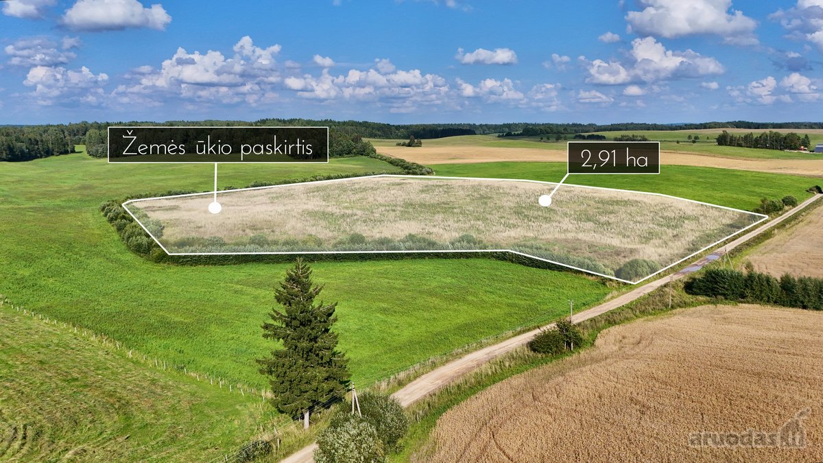 Ramioje ir vaizdingoje vietoje, Surblių kaime - nuotraukos Nr. 8