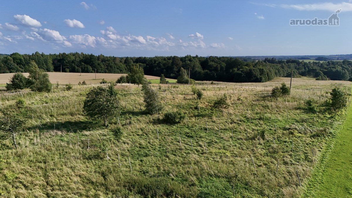 Ramioje ir vaizdingoje vietoje, Surblių kaime - nuotraukos Nr. 14