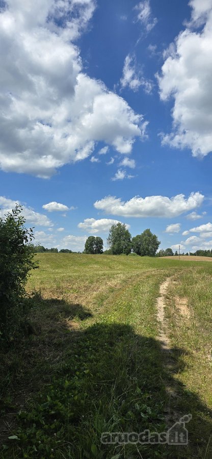 Parduodamas 60 arų namų valdos žemės sklypas - nuotraukos Nr. 3
