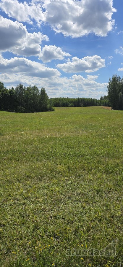 Parduodamas 60 arų namų valdos žemės sklypas - nuotraukos Nr. 4