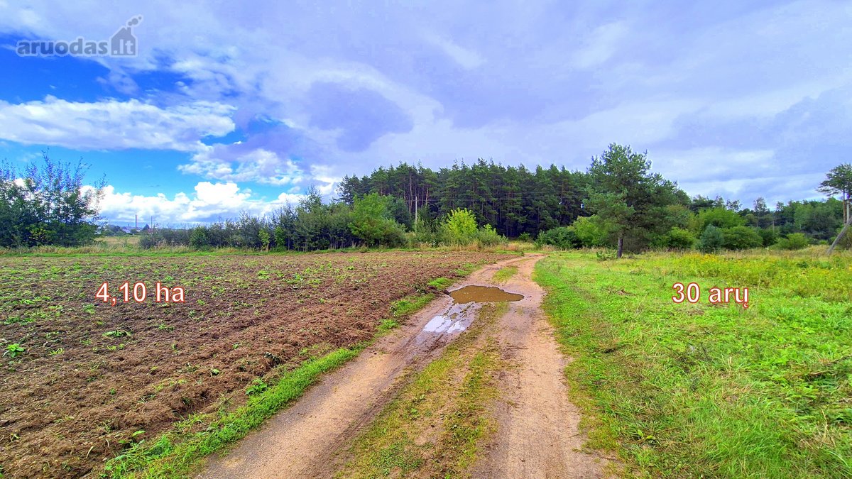 Parduodamas žemės ūkio paskirties 4,1066 ha - nuotraukos Nr. 5