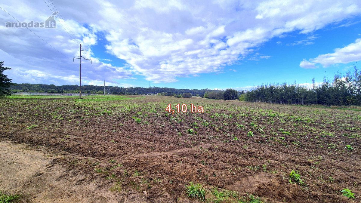 Parduodamas žemės ūkio paskirties 4,1066 ha - nuotraukos Nr. 3