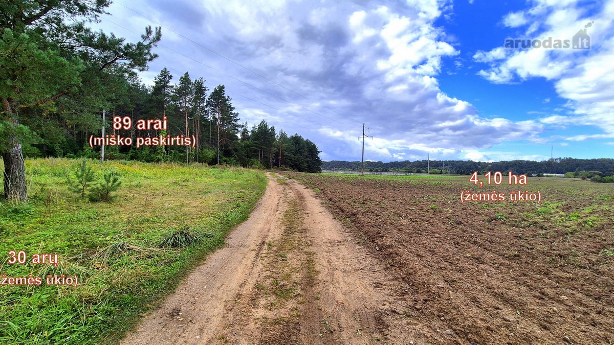 Parduodamas žemės ūkio paskirties 4,1066 ha - nuotraukos Nr. 6