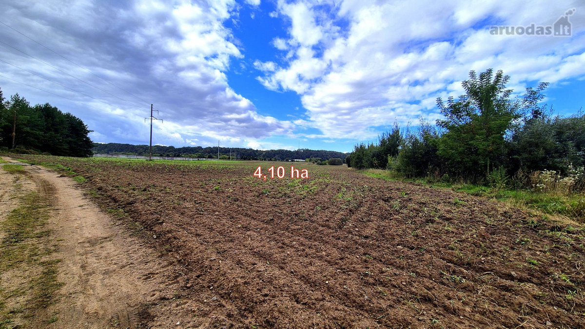 Parduodamas žemės ūkio paskirties 4,1066 ha - nuotraukos Nr. 2