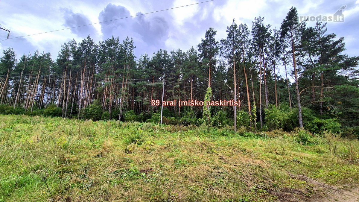 Parduodamas miško ūkio paskirties 0,8912 ha - nuotraukos Nr. 2