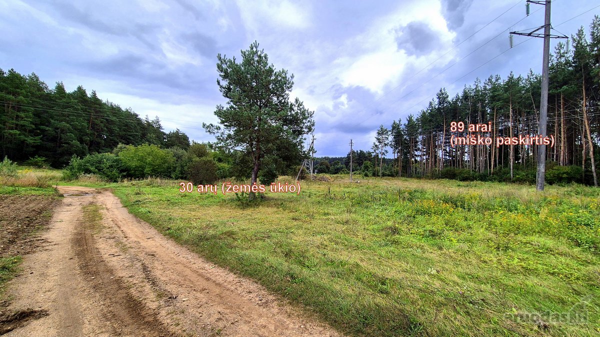 Parduodamas miško ūkio paskirties 0,8912 ha - nuotraukos Nr. 3