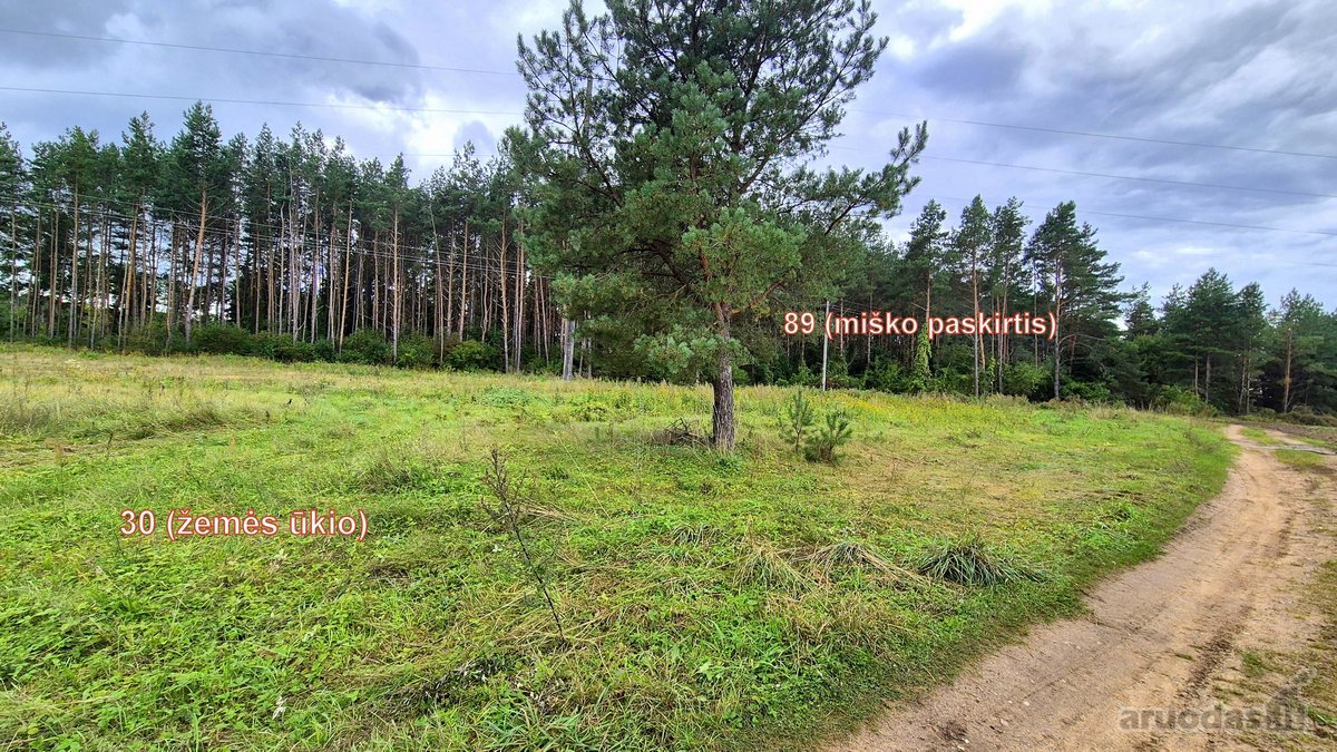 Parduodamas miško ūkio paskirties 0,8912 ha - nuotraukos Nr. 4