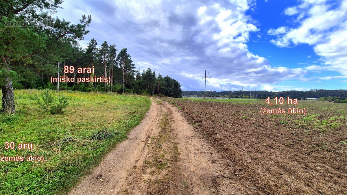 Parduodamas miško ūkio paskirties 0,8912 ha - nuotraukos Nr. 6