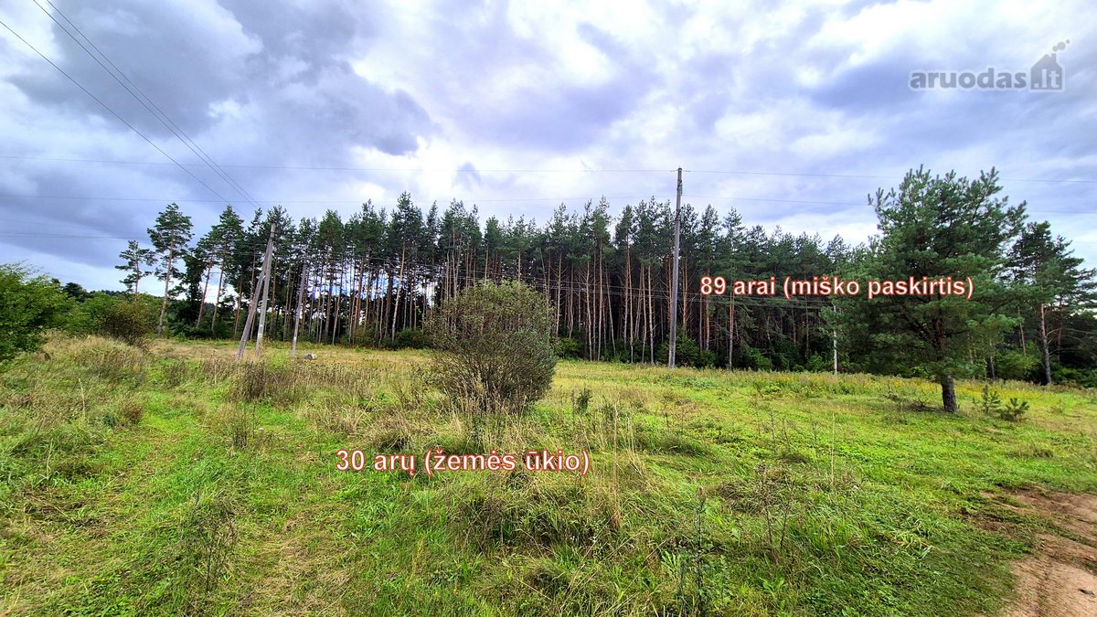 Parduodamas miško ūkio paskirties 0,8912 ha - nuotraukos Nr. 5