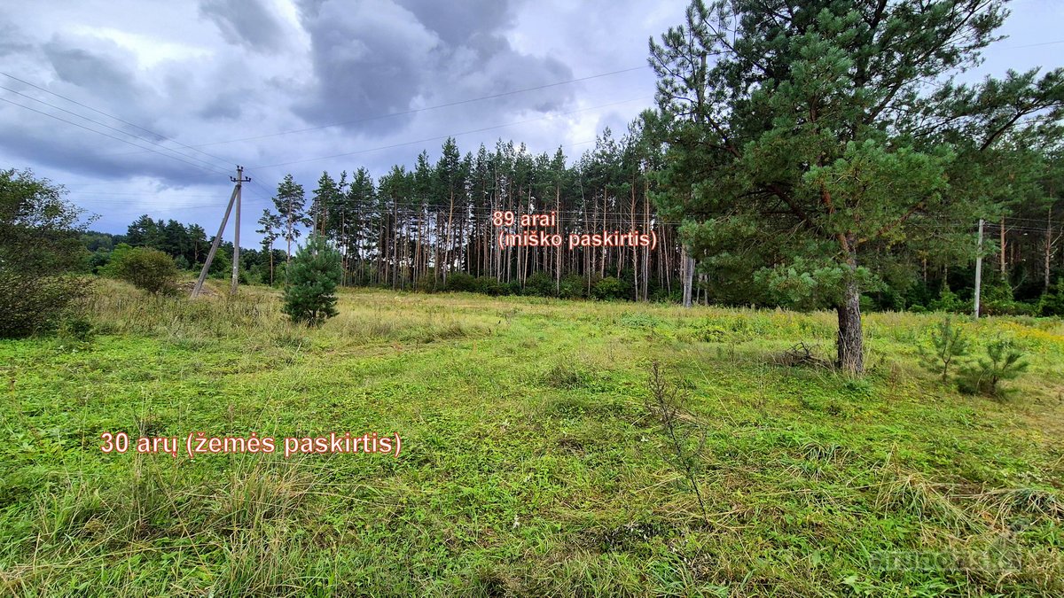 Parduodamas žemės ūkio paskirties 0,3049 ha - nuotraukos Nr. 5