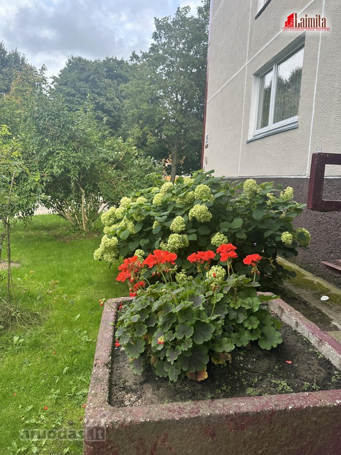 Žardininkų g. parduodamas suremontuotas 3 k. - nuotraukos Nr. 12