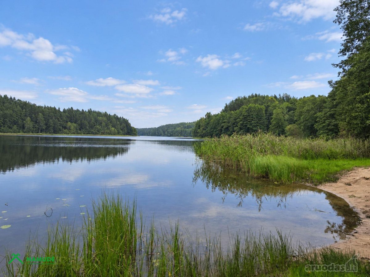 Parduodamas 4a sklypas išskirtinėje Molėtų - nuotraukos Nr. 6