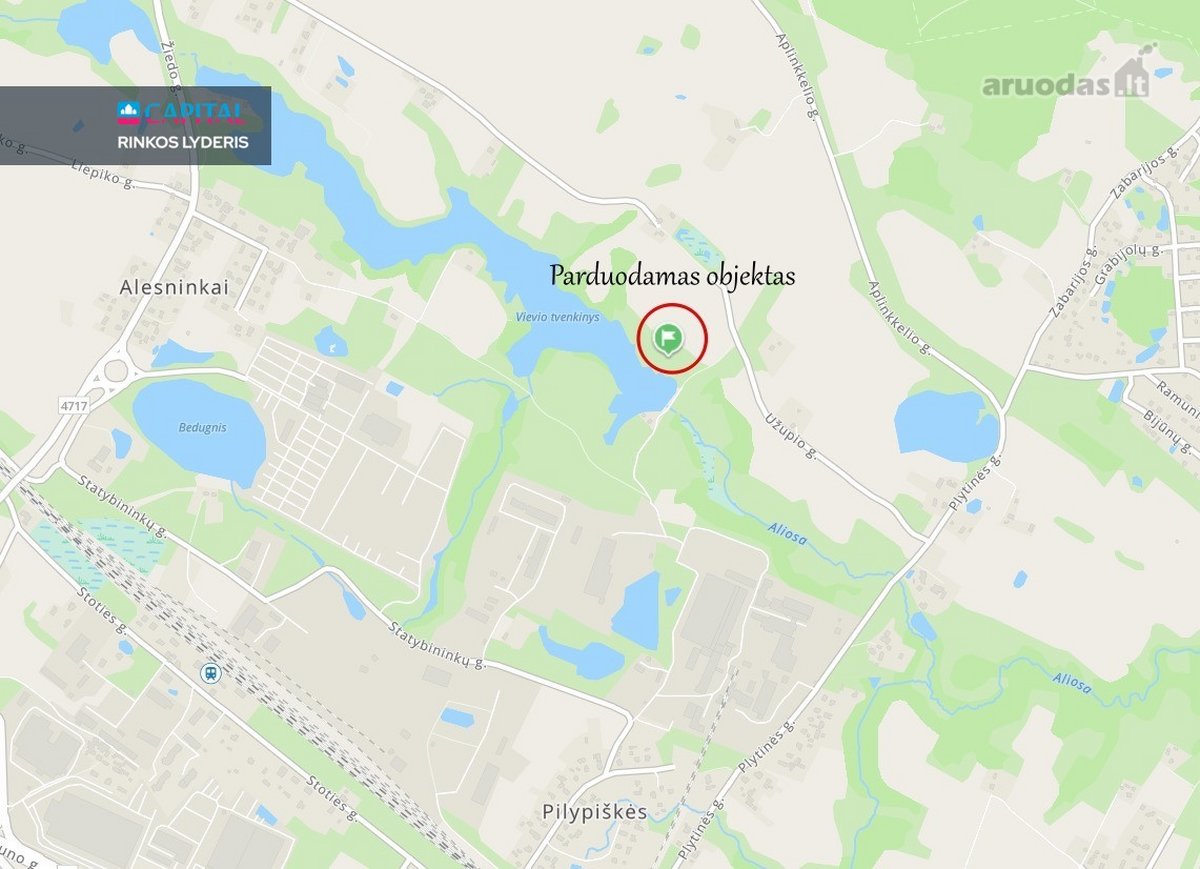 Parduodamas Besiribojantis Su Tvenkiniu, 3 - nuotraukos Nr. 11