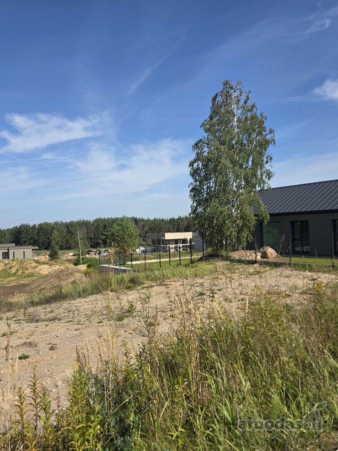 Parduodami Namų Valdos Sklypai Pilaitėje – - nuotraukos Nr. 2