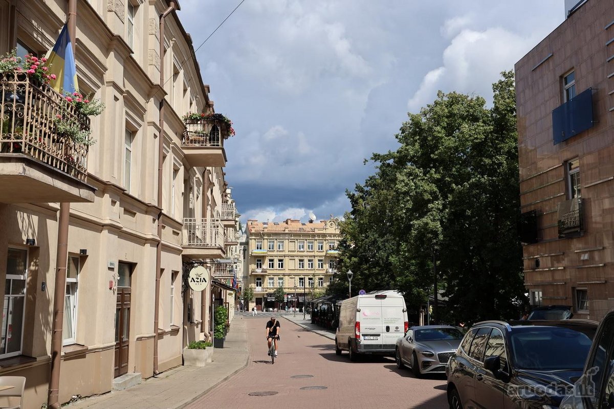 Nuomojamas Jaukus 2 Kambarių Butas Pačiame - nuotraukos Nr. 23