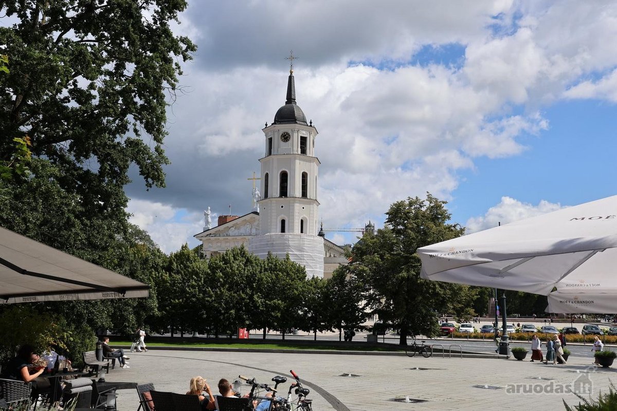 Nuomojamas Jaukus 2 Kambarių Butas Pačiame - nuotraukos Nr. 24