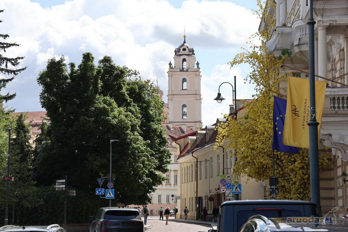 Nuomojamas Jaukus 2 Kambarių Butas Pačiame - nuotraukos Nr. 25